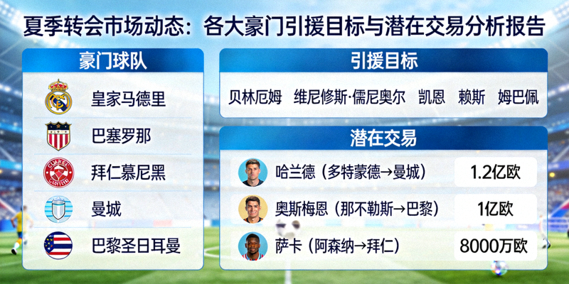 夏季转会市场动态：各大豪门引援目标与潜在交易分析报告